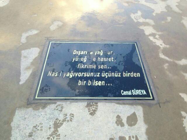 Yalova 'da ki Şiir Yolu hakkında ne düşünüyorsunuz??