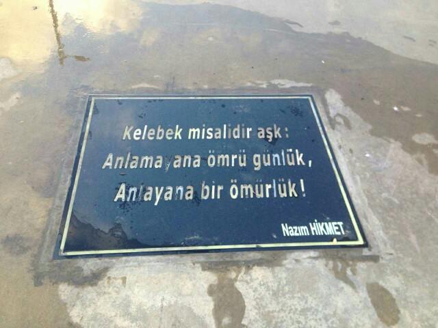 Yalova 'da ki Şiir Yolu hakkında ne düşünüyorsunuz??