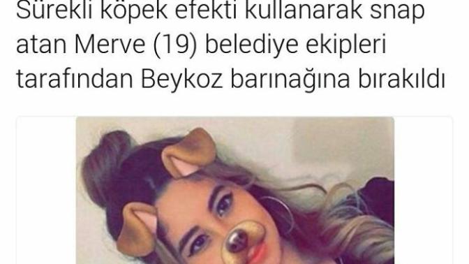 Fotoğraflarınızda efekt kullanıyor musunuz?