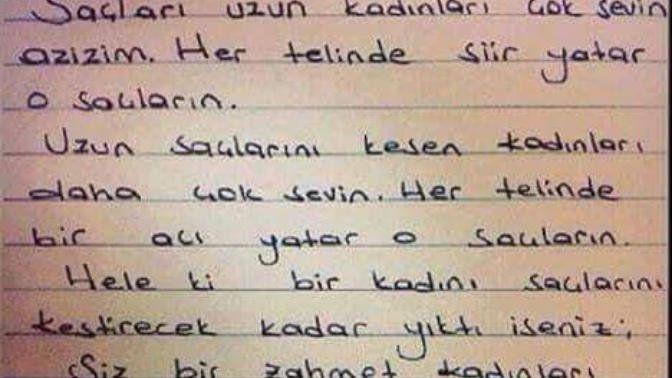 Bir zahmet sevmeyin olur mu azizim? Üzmeyin esmer kadınları?