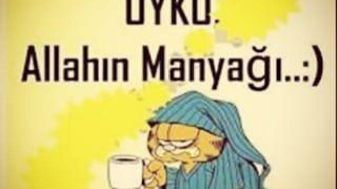 Uykumu gören var mı? Sizin oralardaysa bir zahmet yatağa girmesini söyler misiniz:/ ?