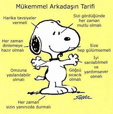 Mükemmel Arkadaşın tarifi nedir?