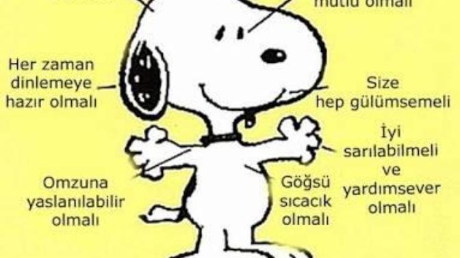 Mükemmel Arkadaşın tarifi nedir?
