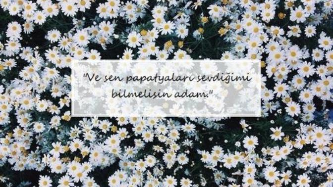 En çok hangi çiçeği seversiniz?