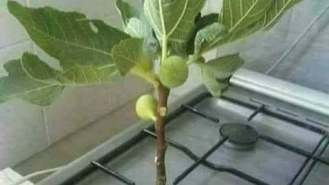 Eşine kredi kartnı teslim eden adamın ocağını görmüşmüydünüz?