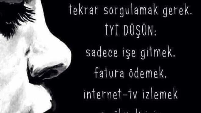 Nerdeyim ben, ne yapmak istiyorum...
Hayati sorgularmisiniz?