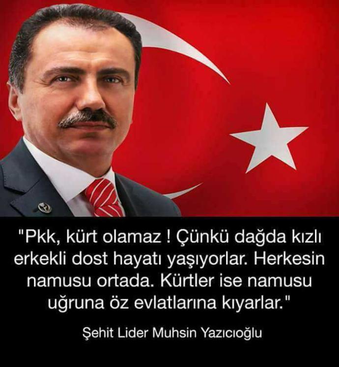 Bu fikir hakkında ne düşünüyorsunuz ??