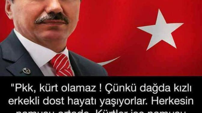 Bu fikir hakkında ne düşünüyorsunuz?