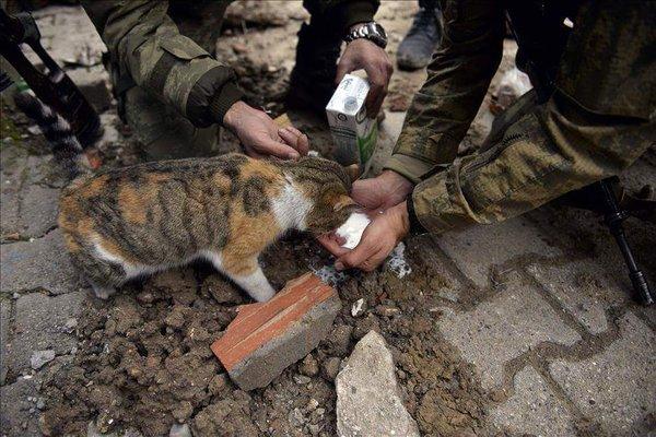 İŞTE GELİYOR! ÖZEL HAREKAT, HİLAL BIYIKLI BOZKURTLAR?