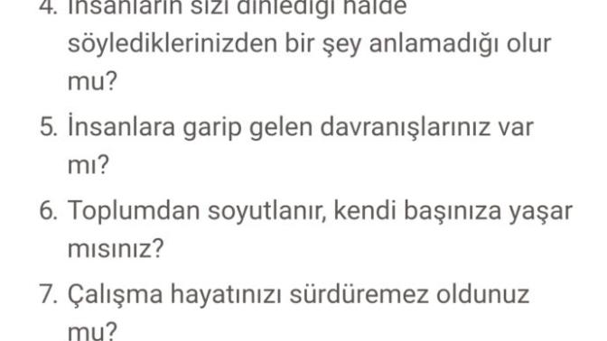 Şizofreni testi. Bunlardan kaçına evet dediniz?