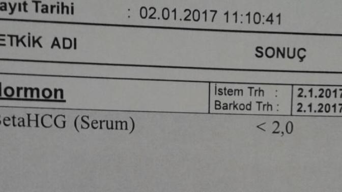 Hamilelik kan testi sonucum, acil cevap. Hamile miyim?
