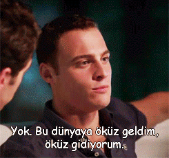 Erkekler öküz müdür?