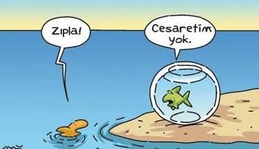 Korkak mısınız? Cesur musunuz?