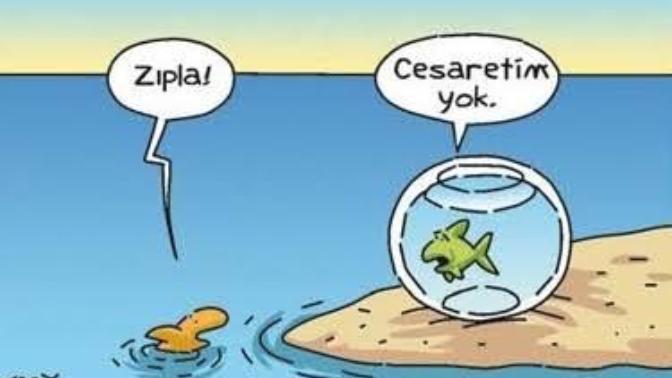 Korkak mısınız? Cesur musunuz?