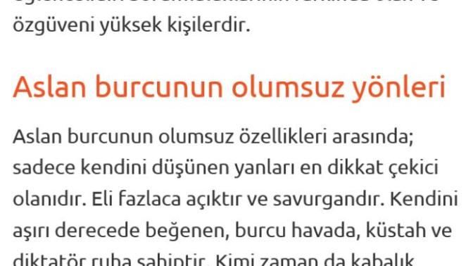 Aslan Burcu Erkeği Hakkında Düşünceleriniz?