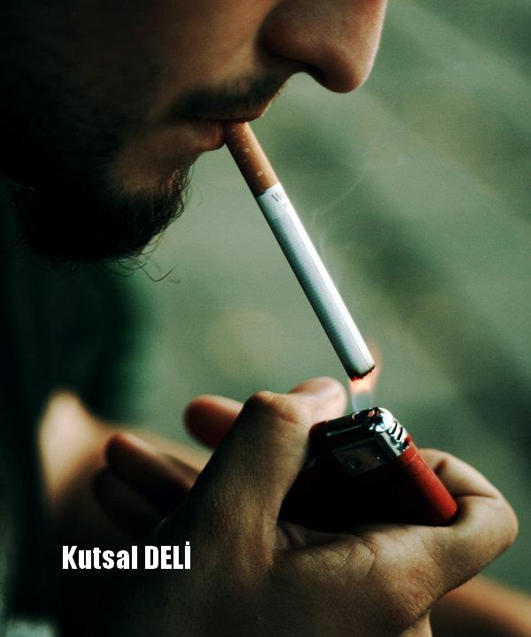 Karabaş otuyla sigara bırakan var mı?