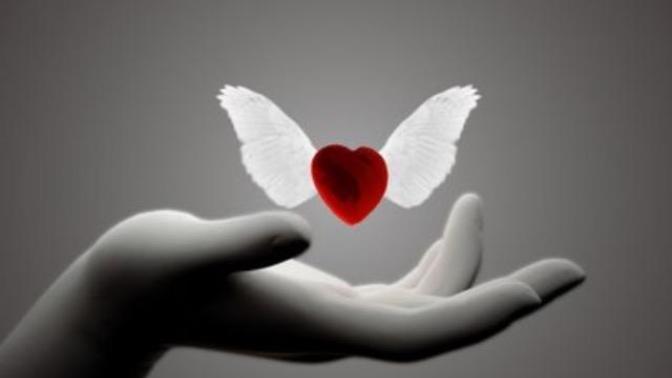 Hayatinda sevginin rolünü nasil tanimlarsin?❤️🌹💌➰👀?