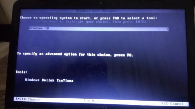 Bilgisayardan anlayanlar var mı? Windows çöktü?