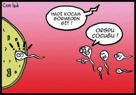 Çiftleşme esnasında ne kadar veri aktarımı yaptıgınızın biliyormusunuz.?