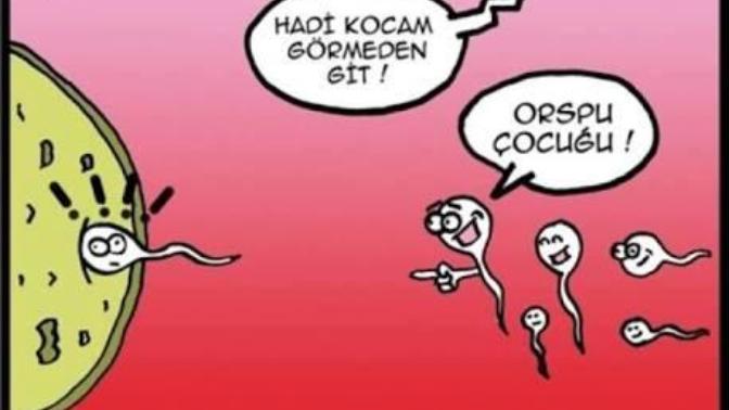 Çiftleşme esnasında ne kadar veri aktarımı yaptıgınızın biliyormusunuz?