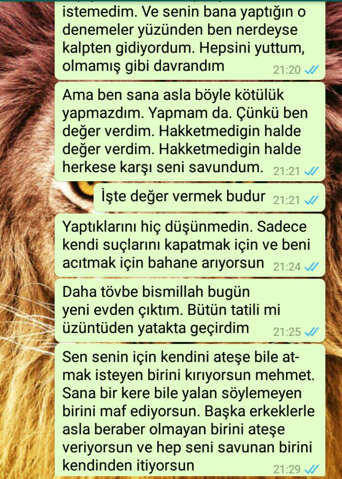 Sizce bu yazdıklarımdan sonra pişman olurmu?