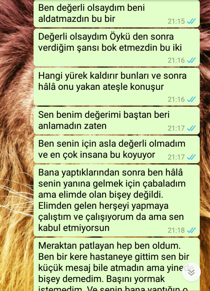 Sizce bu yazdıklarımdan sonra pişman olurmu?
