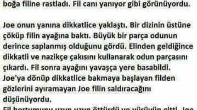 Daha önce böylesine duygusal bir adamla bir fil hikayesi okudunuz mu hiç (foto detayda ) ?