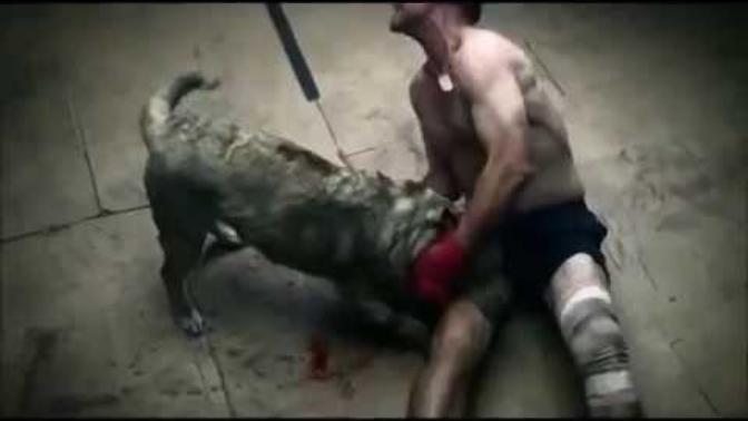 Köpekle insan dövüşürse kim kazanır?
