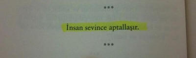 İnsan sevince niçin aptallaşır?