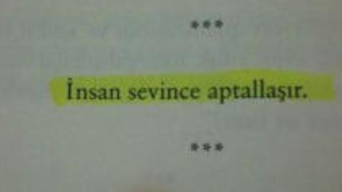 İnsan sevince niçin aptallaşır?