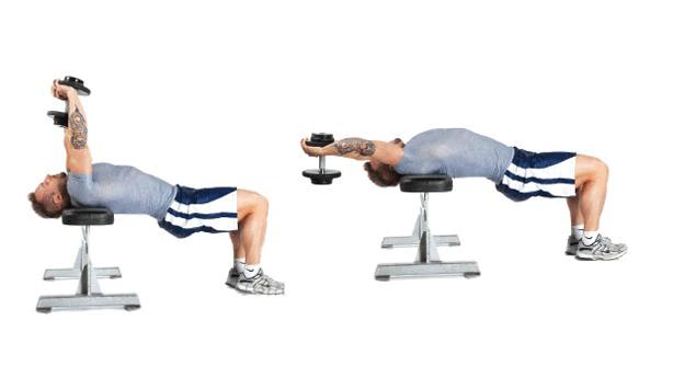 Dumbbell pullover hareketi göğsün hangi bölgesini çalıştırır?