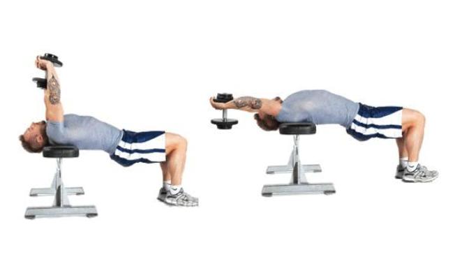 Dumbbell pullover hareketi göğsün hangi bölgesini çalıştırır?