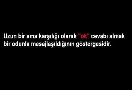 Gılgamış destanı gibi yazdığınız mesaja sadece 'Ok' cevabını alsanız ne yaparsınız?