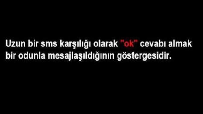 Gılgamış destanı gibi yazdığınız mesaja sadece 'Ok' cevabını alsanız ne yaparsınız?