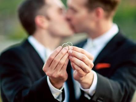 Çok şirin değil mı sizce de bu gaylar?