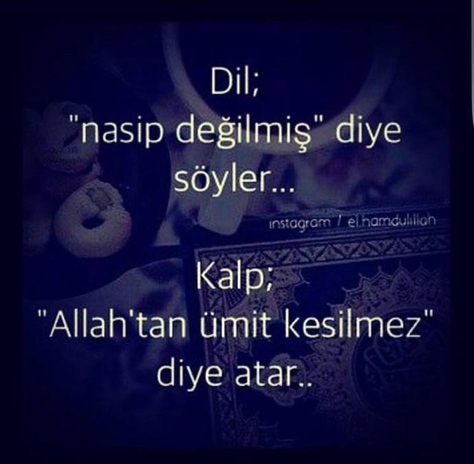 Arkadaşlar sizce hangi söz?