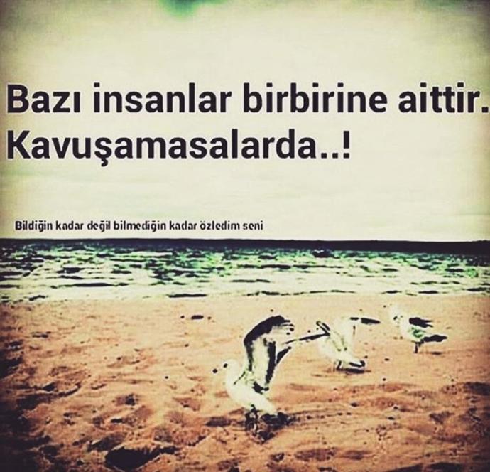 Arkadaşlar sizce hangi söz?