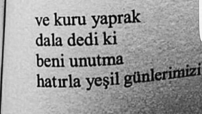 Arkadaşlar sizce hangi söz?