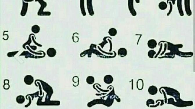 Kamasutra diye bir kitap var japon seks pozisyon teknikleri, bir çoğumuz hayatımızda uyguladığımız pozisyonlar değilmi?