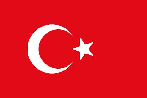 Türk bayrağı senin için neyi ifade ediyor ?