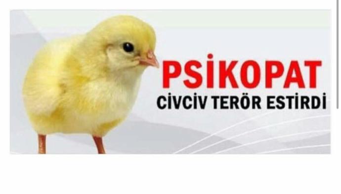 Civcivler psikopat mıdır?
