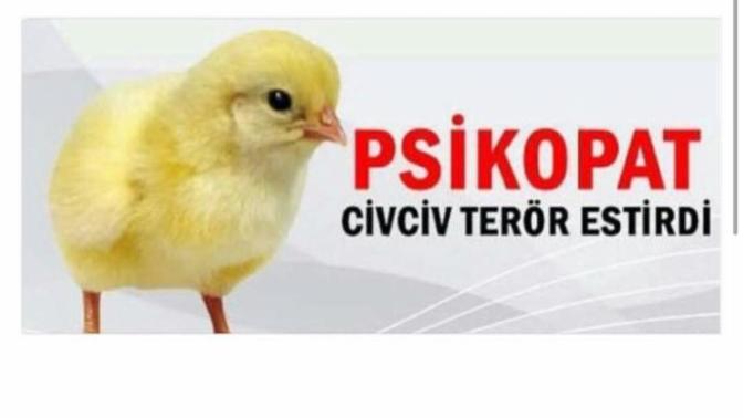 Civcivler psikopat mıdır?