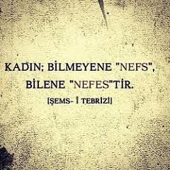 "Kadın bilene nefes, bilmeyene nefstir" sözü hakkında düşünceriniz neler?
