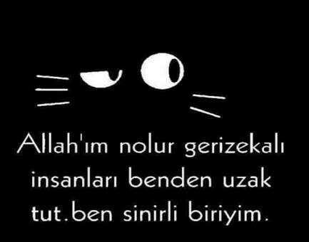 Sinirlerinize hakim olabiliyor musunuz??