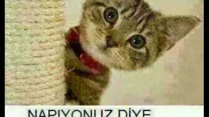 Günaydın güzeller naber siniz😊😇😎?