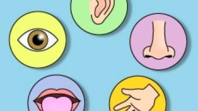 Beş duyu organızın birisinden mecbur vazgeçmek zorunda olsanız, hangisinden vazgeçersiniz?