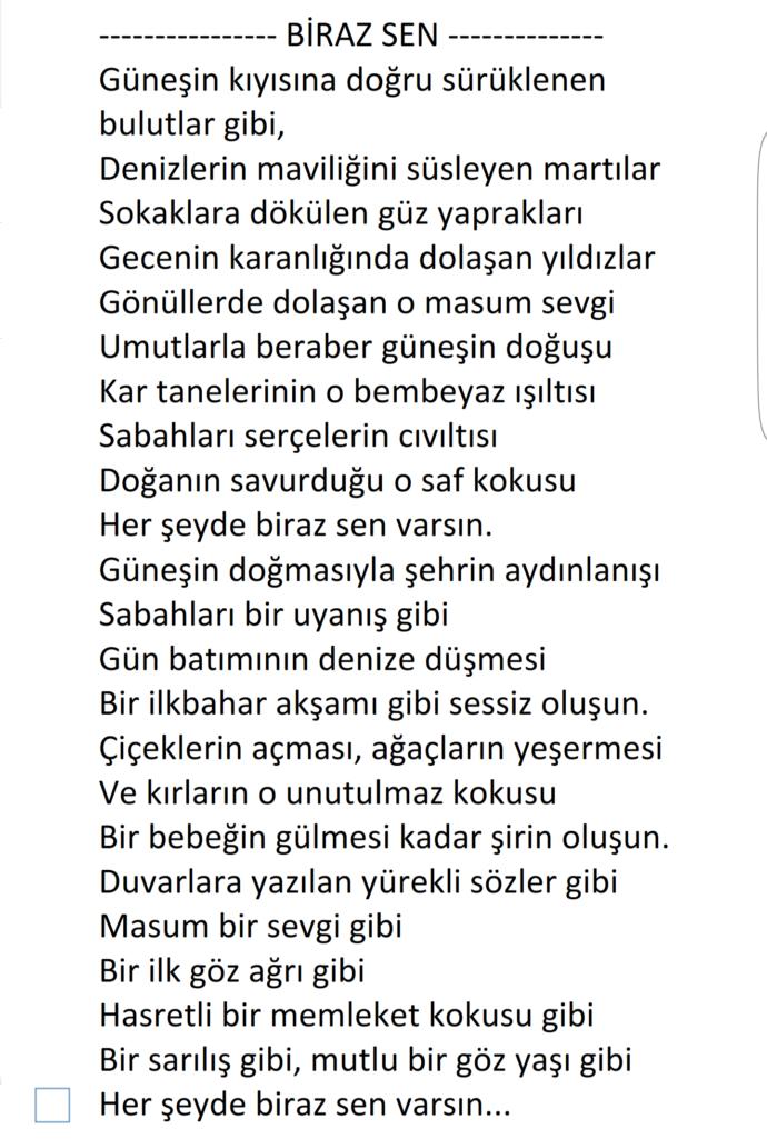 Kuzenim bana beni anlatır mısın demişti birgün, bakın ben onu ona nasıl anlatmışım?