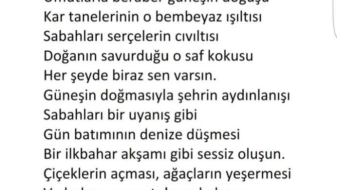 Kuzenim bana beni anlatır mısın demişti birgün, bakın ben onu ona nasıl anlatmışım?