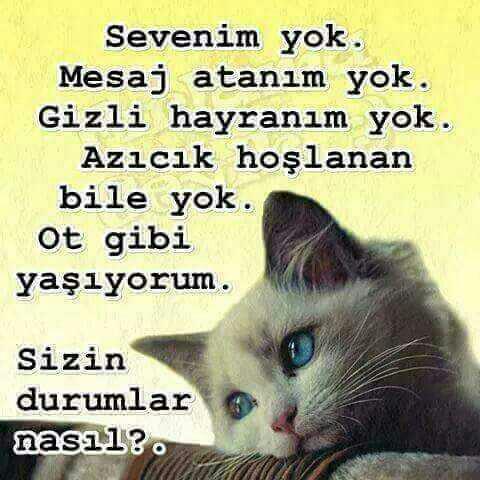 Sizin durumlar nasıl??