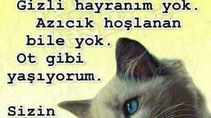 Sizin durumlar nasıl?